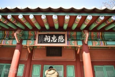 [자박자박 소읍탐방-강원 영월 낙화암] 어린 단종은 알고 있었을까, 300년 후 곁에 올 기생의 비극을…