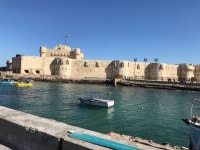 부활한 알렉산드리아 도서관 외벽에 또렷한 한글