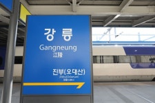 경포일출, 커피거리, 초당순두부까지…강릉 반나절 총알여행