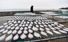 소박하지만 천년 세월 품은 ‘신라의 바다’