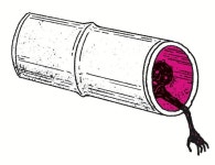 “여자가 여우로 변신해 사람을 홀리는 괴물이라고요?”