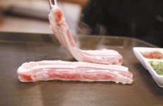 제주서 맥 못추는 육지산 돼지고기