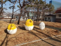 “CCTV나 늘리지, 인적 없는 공원 조명에 5억이나 쓰나”
