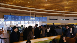 [시승여행] 푸조 508 GT로 찾은 특별한 박물관, 오설록 티 뮤지엄