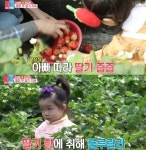 동상이몽2 소이현 인교진 딸 귀염뽀작 애교 딸기야 많이 아팠엉?