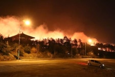 [속보] 강원 고성 산불 덮친 속초 전쟁터 방불