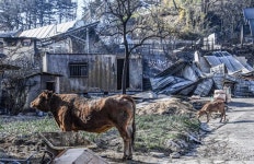 강원 공기관 연수원, 산불 이재민 임시거처로 지원