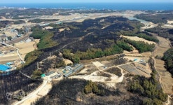 양양 산불 때와 달리 문화재 소실은 ‘0건’