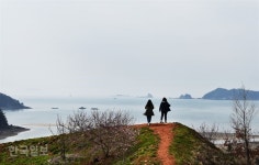 꽃잔치 즐기다 보면…천년 신비 ‘보물섬’ 태안 신진도