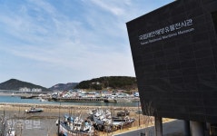 꽃잔치 즐기다 보면…천년 신비 ‘보물섬’ 태안 신진도