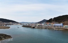 꽃잔치 즐기다 보면…천년 신비 ‘보물섬’ 태안 신진도