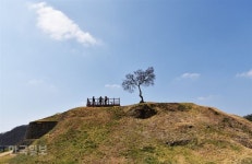다이아몬드처럼 빛나다 수십만년 시간이 빚은 한탄강 주상절리