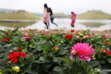 색의 향연 순천만국가정원…상다리 휘어지는 한정식 밥상