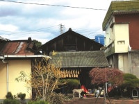 [환동해시대 경북] 근대역사문화공간으로 재탄생하는 감포 적산가옥거리