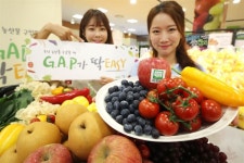 ‘농약ㆍ중금속 걱정 없는 농산물’ 롯데마트서 ‘GAP 인증 농산물’ 기획판매전