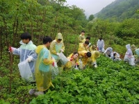 가족들과 별빛 쏟아지는 경북 산촌으로 떠나요