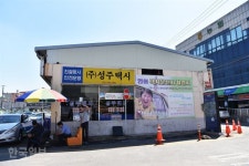 [자박자박 소읍탐방-경북 성주] 500년 성밖숲 지나 ‘송강호 국수’로 옛 정취 맛볼까