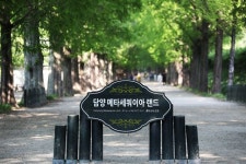 버스 요금 13만원, 프리패스로 7일간 전국일주를 했다