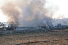 보험금 타내려 멀쩡한 닭 수만 마리 불태워 죽인 농장주 무더기 검거