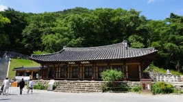 [도시재발견 시티투어버스]  신라에 불교 전한 아도화상ㆍ독립운동가 왕산…충절의 도시로 역사여행!