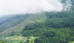 발 아래 구름이 깔리고…국내 최고 대학은 바로 여기