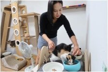 15년간  길고양이 보호활동... 1500마리 구조 입양 보냈죠