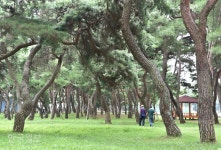 소백산 자락에 옹기종기… 소담 소담 낮은 돌담길