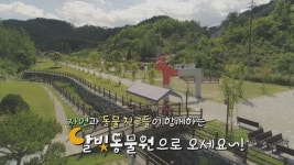 가족 단위 관광객에 호평 받은 영월 ‘펫힐링 달빛동물원’