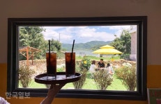 1500년전 아라가야의 숨결 진홍빛 연꽃으로 되살아나…