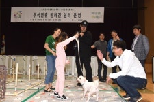 “추석 연휴 반려견 돌봐 드려요”…서울 노원구, 구청 강당에 반려견 쉼터 운영