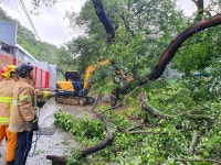 철강도시 포항 철구조물도 휴지조각처럼…