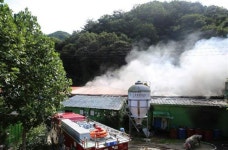 문경 돼지 축사 화재… 3000마리 중 상당수 불에 타 죽어