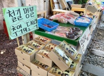 ‘레트로 핫플’ 경암동 철길마을 vs 열차도 서지 않는 호젓한 임피역