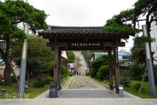 [여기가 거기야] ‘동백꽃’ 덕분에 구룡포가 활짝 폈다