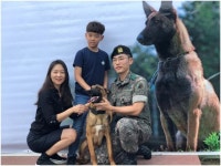 군견들 꽃목걸이 걸고 은퇴식… “요즘 군대 개과천선”
