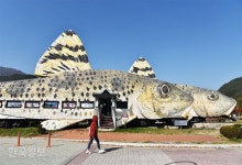 돌다리 건너 줄배 타고… 눈부신 ‘가을 한바퀴’