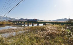 태백산맥 문학거리 걸으면 벌교의 근현대사가 흑백영화처럼…