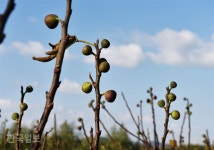 국내 최장 해상케이블카로 용틀임처럼 휘감겨 오는 섬…섬…섬…