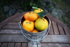 완도에서 제주까지 배로 80분…대중교통 마니아의 2박3일 체험 여행