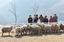아찔한 구름다리ㆍ정겨운 양떼목장…걷기 딱 좋은 작은 마을
