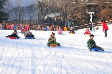 [내고장 문화] 새출발 에코테마파크 대구숲, 겨울시즌 재단장