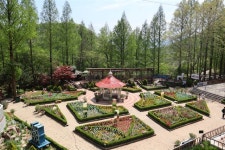 [내고장 문화] 새출발 에코테마파크 대구숲, 겨울시즌 재단장