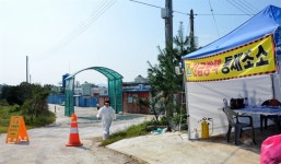 철원 민통선 밖 멧돼지서 아프리카돼지열병 확진
