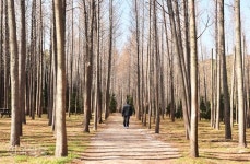 푸른 바다 품은 충절의 고을… ‘작은 안동’ 기품이 흐른다