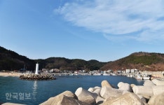 전망대서 바람 만나고, 바닷가에서 청어과메기 맛보고... ‘블루로드’ 걷다