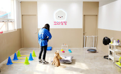 [시승여행] 전기차를 타고 찾은 도심에서 누릴 수 있는 반려견과의 시간, 꼬리살랑