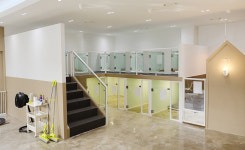 [시승여행] 전기차를 타고 찾은 도심에서 누릴 수 있는 반려견과의 시간, 꼬리살랑