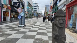 제주 시내버스 관광 중국인, 귀국 후 확진 판정… 제주도가 발칵