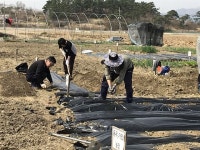 달성 신당수박마을 주말농장 텃밭 분양