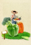 경남서 키운 친환경 농산물, “부산과 울산 식탁에…”